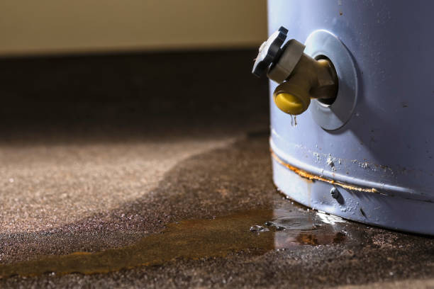 Best Basement water damage restoration  in Green Forest, AR