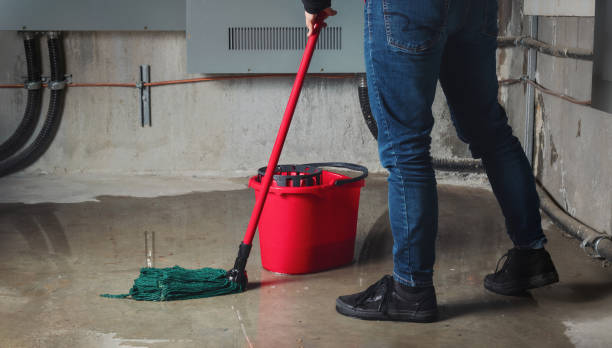 Best Ceiling water damage repair  in Green Forest, AR