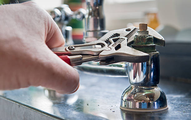 Best Basement water damage restoration  in Green Forest, AR