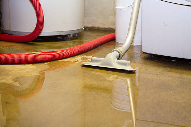 Best 24-hour water damage restoration  in Green Forest, AR