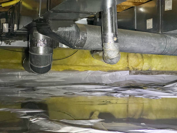 Best Commercial water damage restoration  in Green Forest, AR